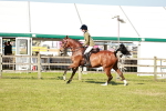 SBM_19261