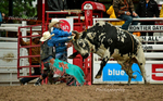 _DSC1961