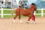 SBM_10177