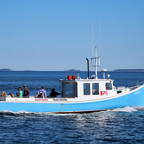 Whale Watching on Passamaquoddy Bay