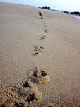 I run
