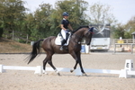 Class 5 - Novice 1 portfolio