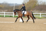 SBM_003451