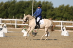 SBM_012707
