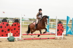 SBM_007309