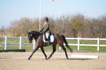 SBM_003393