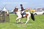 BPP_7590