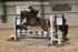 BPP_0036