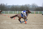SBM_004507