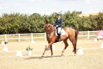 SBM_009399