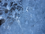 Ice Watch 1