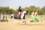 SBM_03851