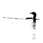 Avian Graphics portfolio