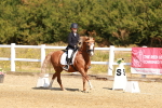 SBM_017576