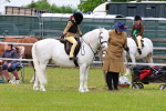 SBM_08198