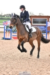 241117X-092931-03262
