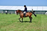 SBM_03744