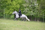 WJ6_1671