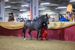 SBM_15809