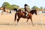 SBM_08154