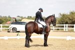SBM_004178