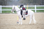 SBM_003984