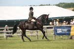 SBM_09172
