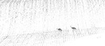 Sandhill Crane Pano in Snowy Field