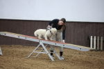 SBM_006091