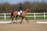 SBM_001094