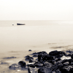Stackpole