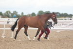 SBM_07962