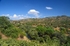 Sierra de Andújar, Andalucia, Spain