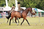 SBM_10966