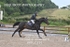 BPP_0251