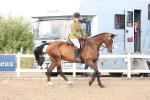 SBM_07429