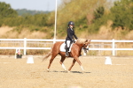 SBM_017580