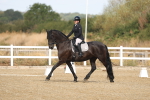 SBM_008255