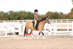 SBM_15934