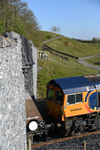Arcow shunting moves attract sheep gallery - May '17