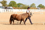 SBM_10965