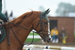 Cls 22 95cm Amateur Qualifier portfolio