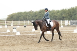 SBM_003909