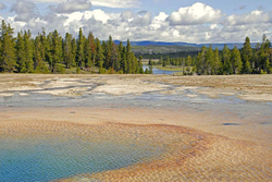 Yellowstone National Park portfolio