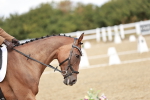 SBM_009799