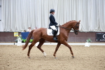 SBM_001009