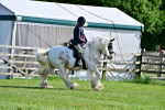 SBM_09517