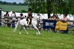 SBM_06064