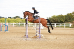 SBM_006559