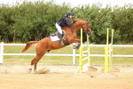 SBM_010063